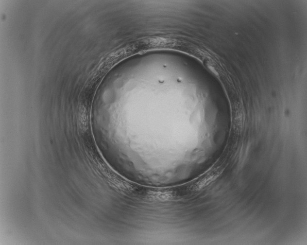 X0000056030469200509021826