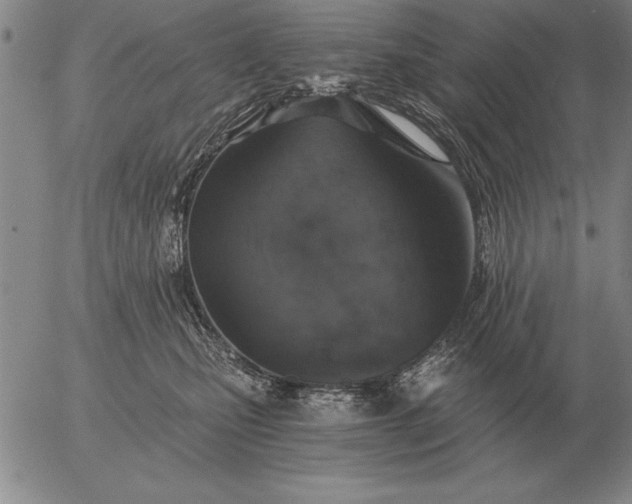 X0000056030471200509021826