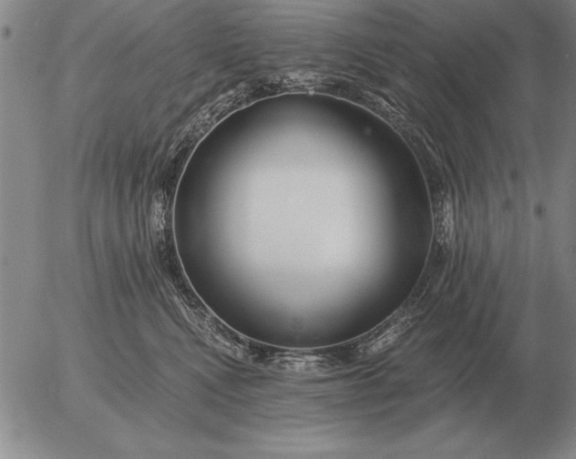 X0000056030472200509021826