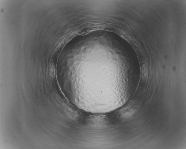 X0000056030474200509021826