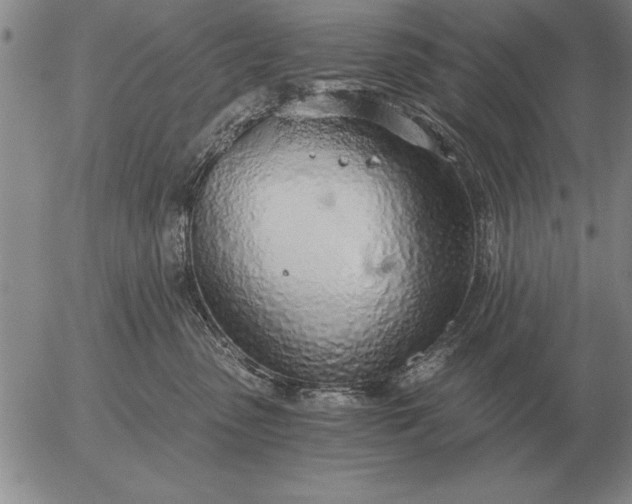 X0000056030475200509021826