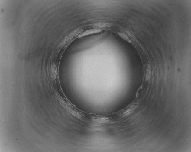 X0000056030476200509021826