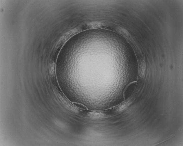 X0000056030477200509021826