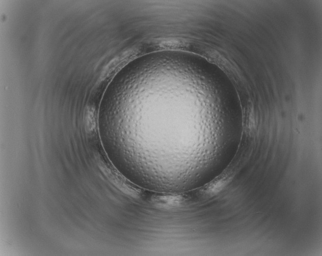 X0000056030478200509021826