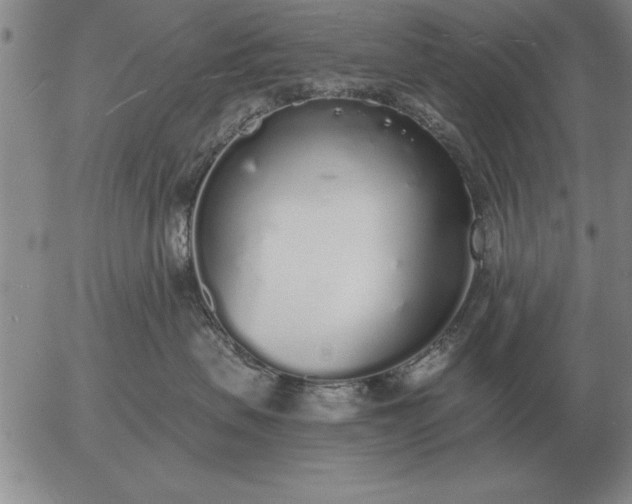 X0000056030479200509021826