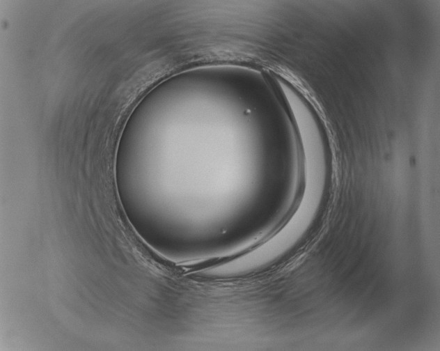 X0000056030481200509021826