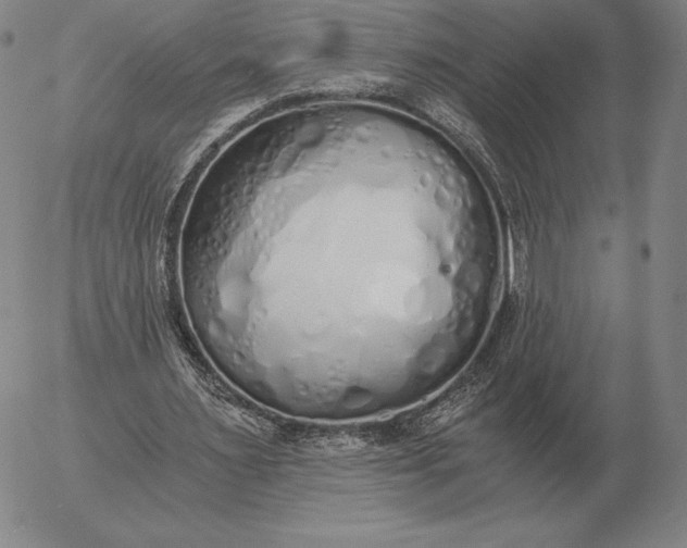 X0000056030483200509021826