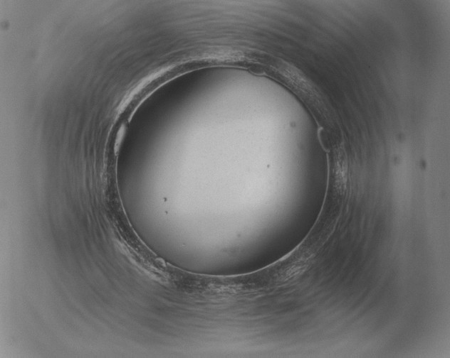 X0000056030484200509021826