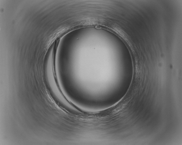 X0000056030485200509021826