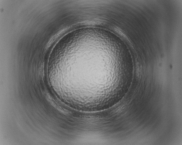 X0000056030486200509021826