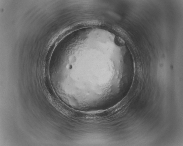 X0000056030487200509021825