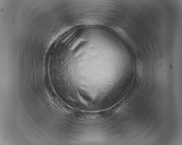 X0000056030488200509021825