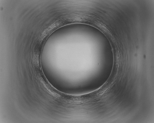 X0000056030489200509021825