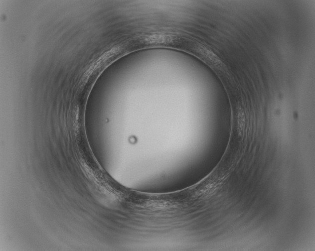 X0000056030490200509021825