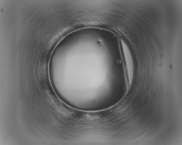 X0000056030491200509021825