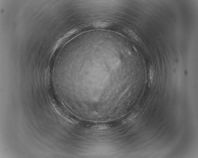 X0000056030492200509021825