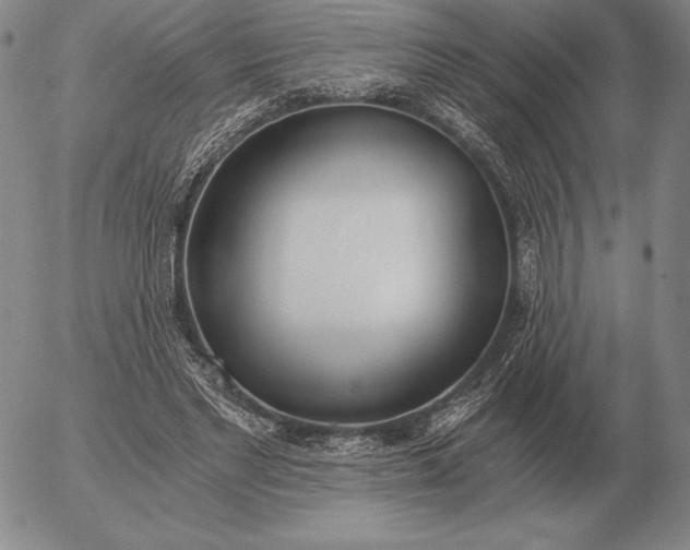 X0000056030493200509021825