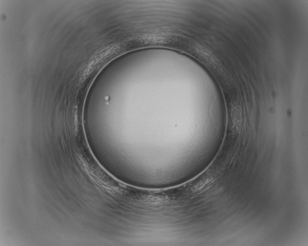 X0000056030494200509021825