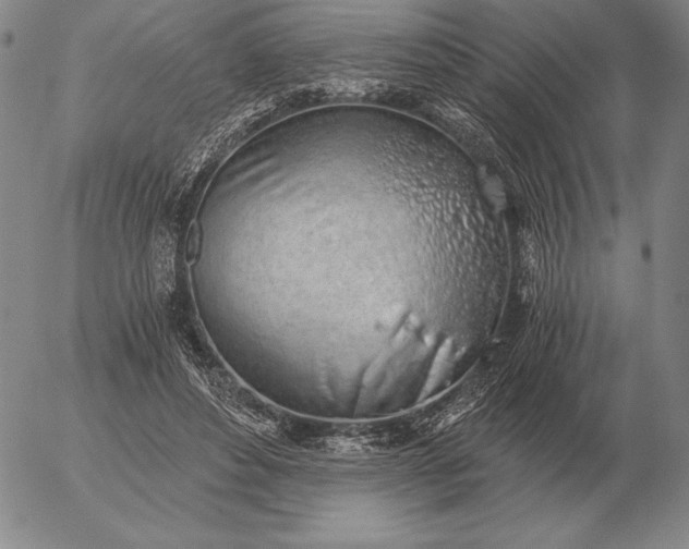 X0000056030496200509021825