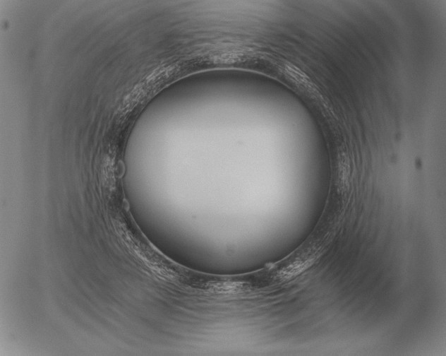 X0000056030497200509021825