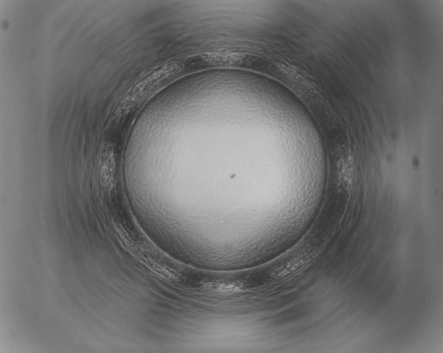 X0000056030498200509021825