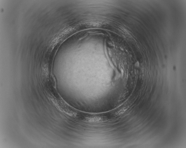 X0000056030500200509021825