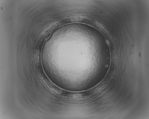 X0000056030501200509021825