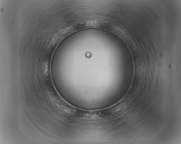 X0000056030502200509021825