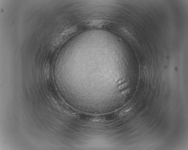 X0000056030504200509021825