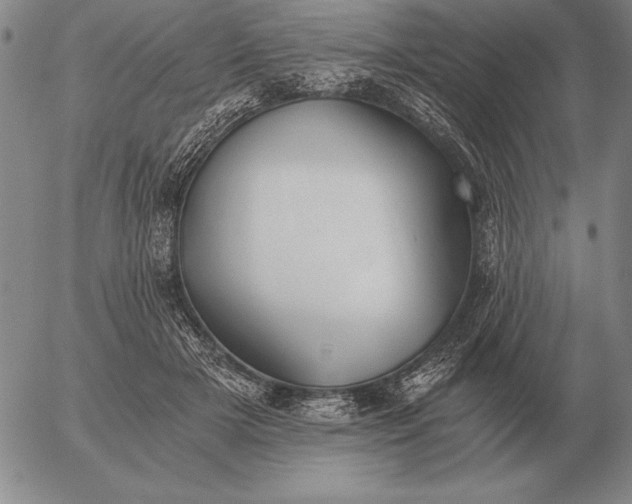 X0000056030505200509021825