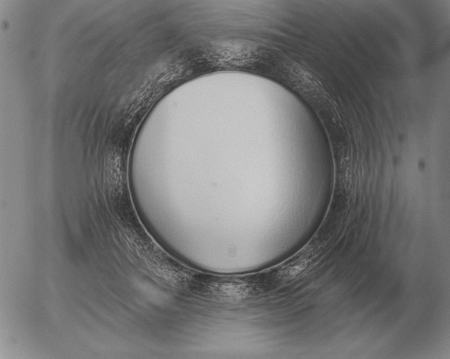 X0000056030506200509021825