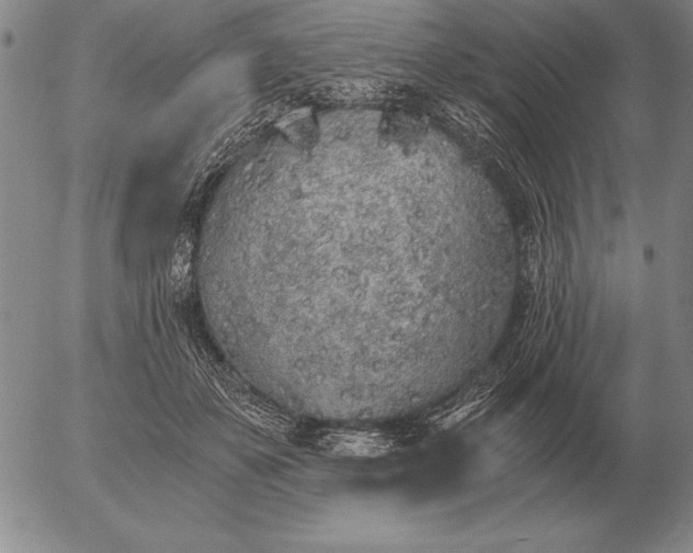 X0000056030507200509021825