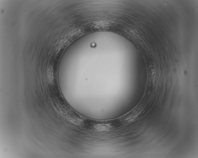 X0000056030508200509021825