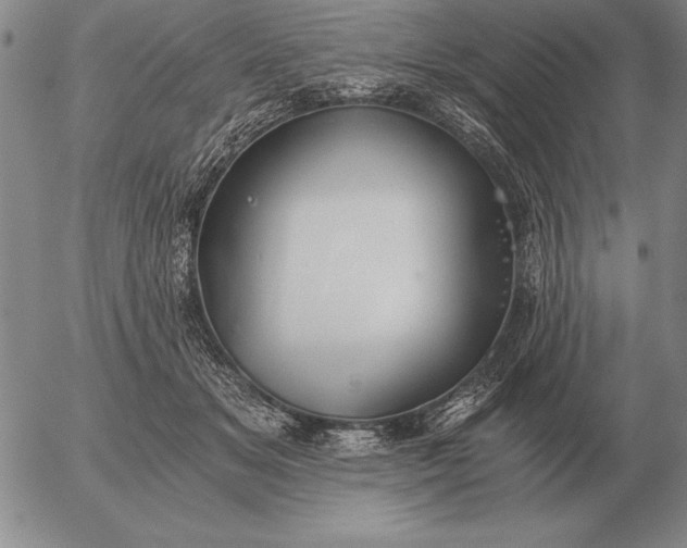 X0000056030509200509021825