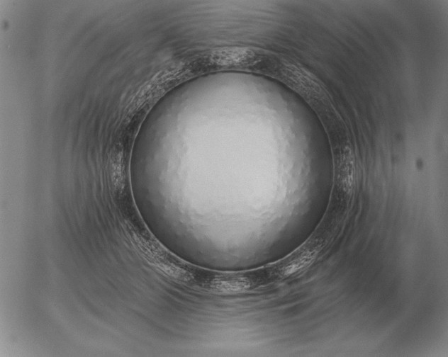 X0000056030510200509021825