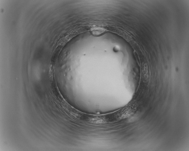 X0000056030511200509021825