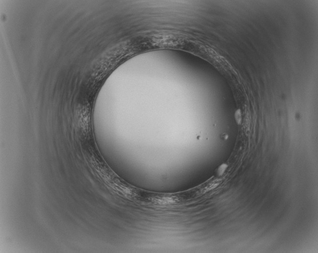 X0000056030513200509021825