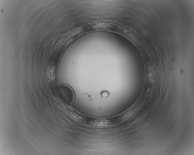 X0000056030514200509021825