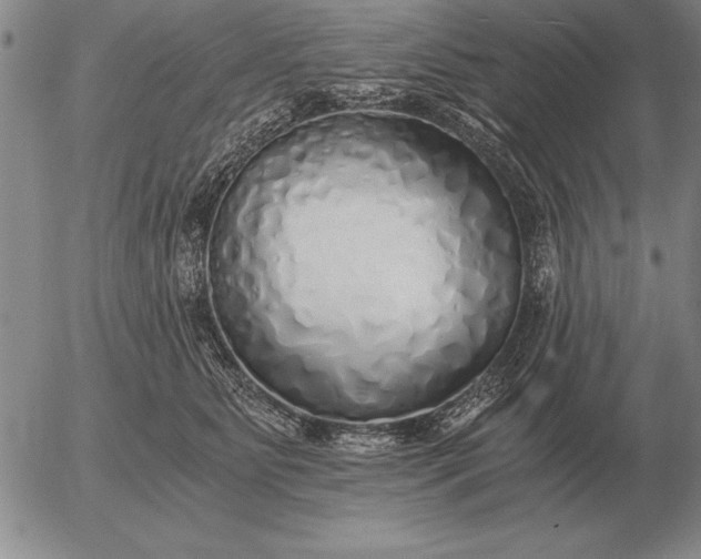 X0000056030515200509021825