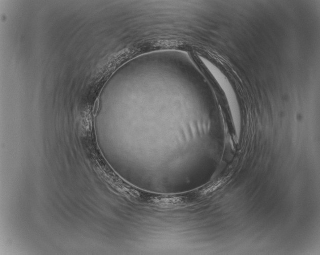 X0000056030517200509021825