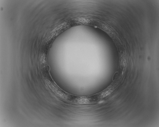 X0000056030518200509021825