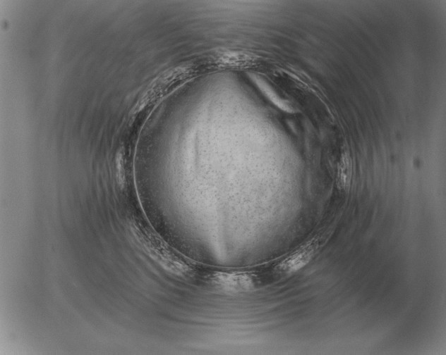 X0000056030520200509021825