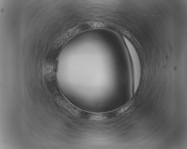 X0000056030521200509021825