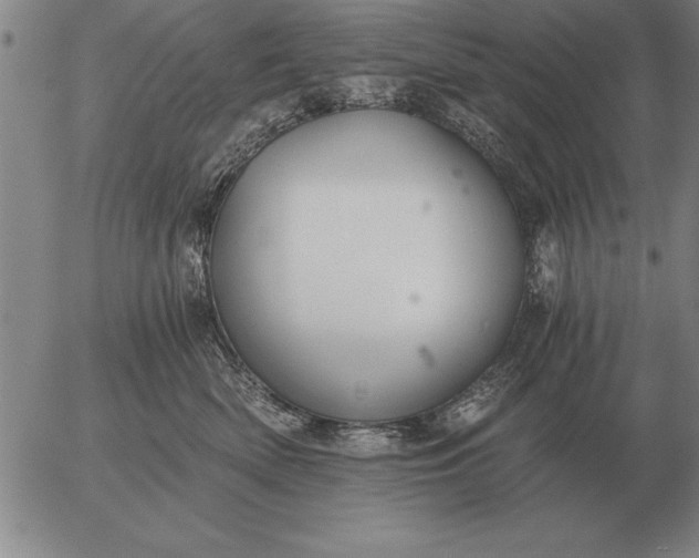 X0000056030522200509021825