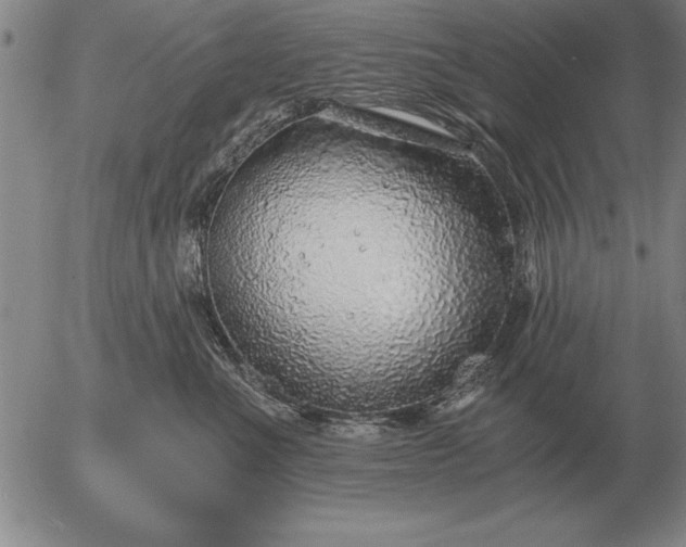 X0000056030523200509021825