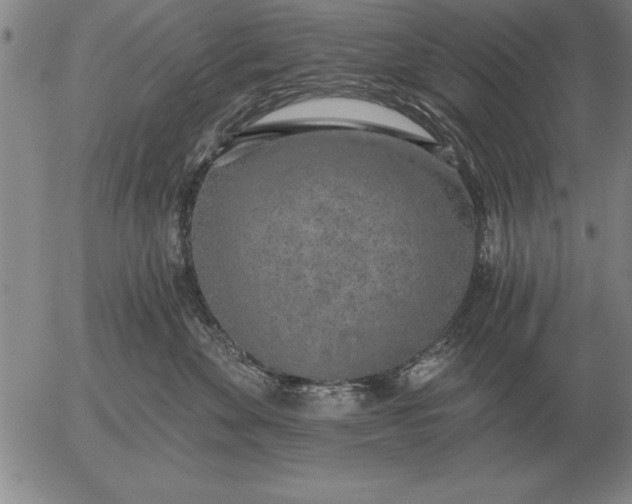 X0000056030524200509021825