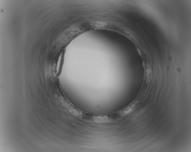 X0000056030525200509021825