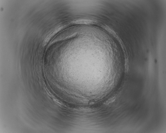 X0000056030529200509021824