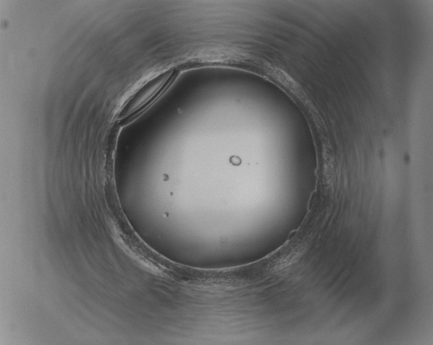 X0000056030530200509021824