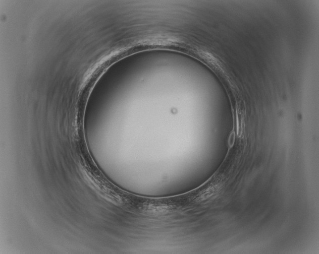 X0000056030531200509021824